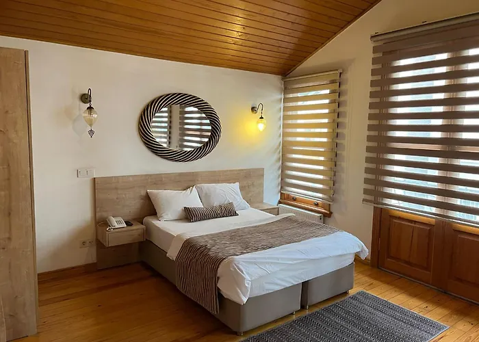 Belizia اسطنبول